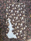 NWT lucky and blessed western high slit skirt 🔥🤩 XL