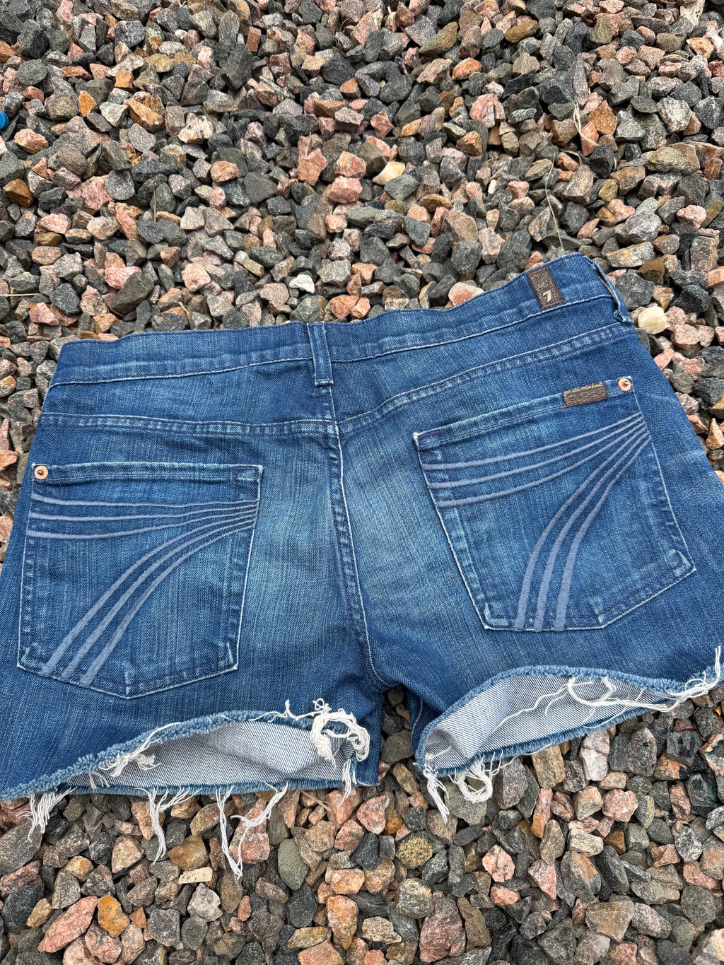 Seven Fam Dojo shorts size 31