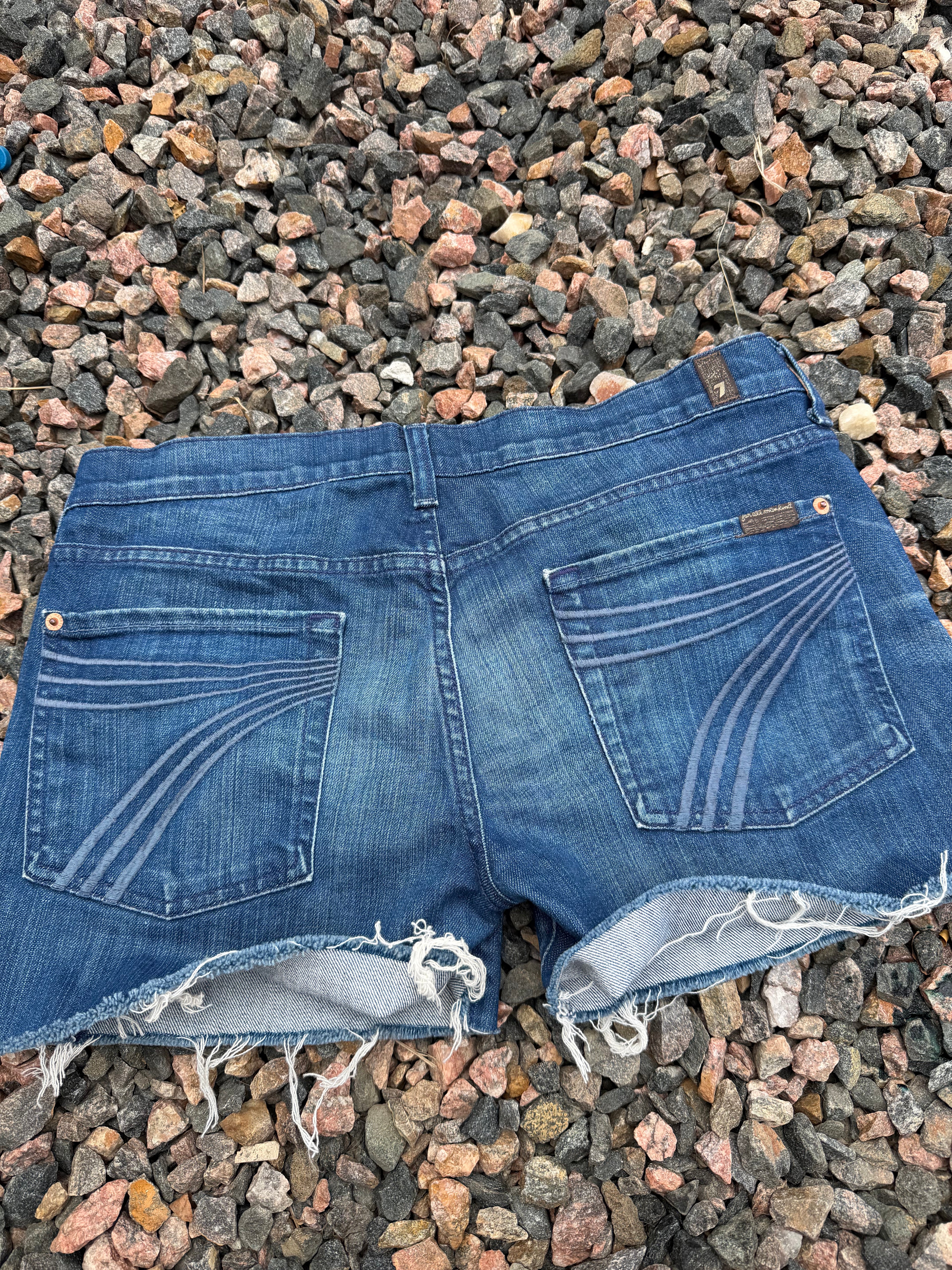 Seven Fam Dojo shorts size 31