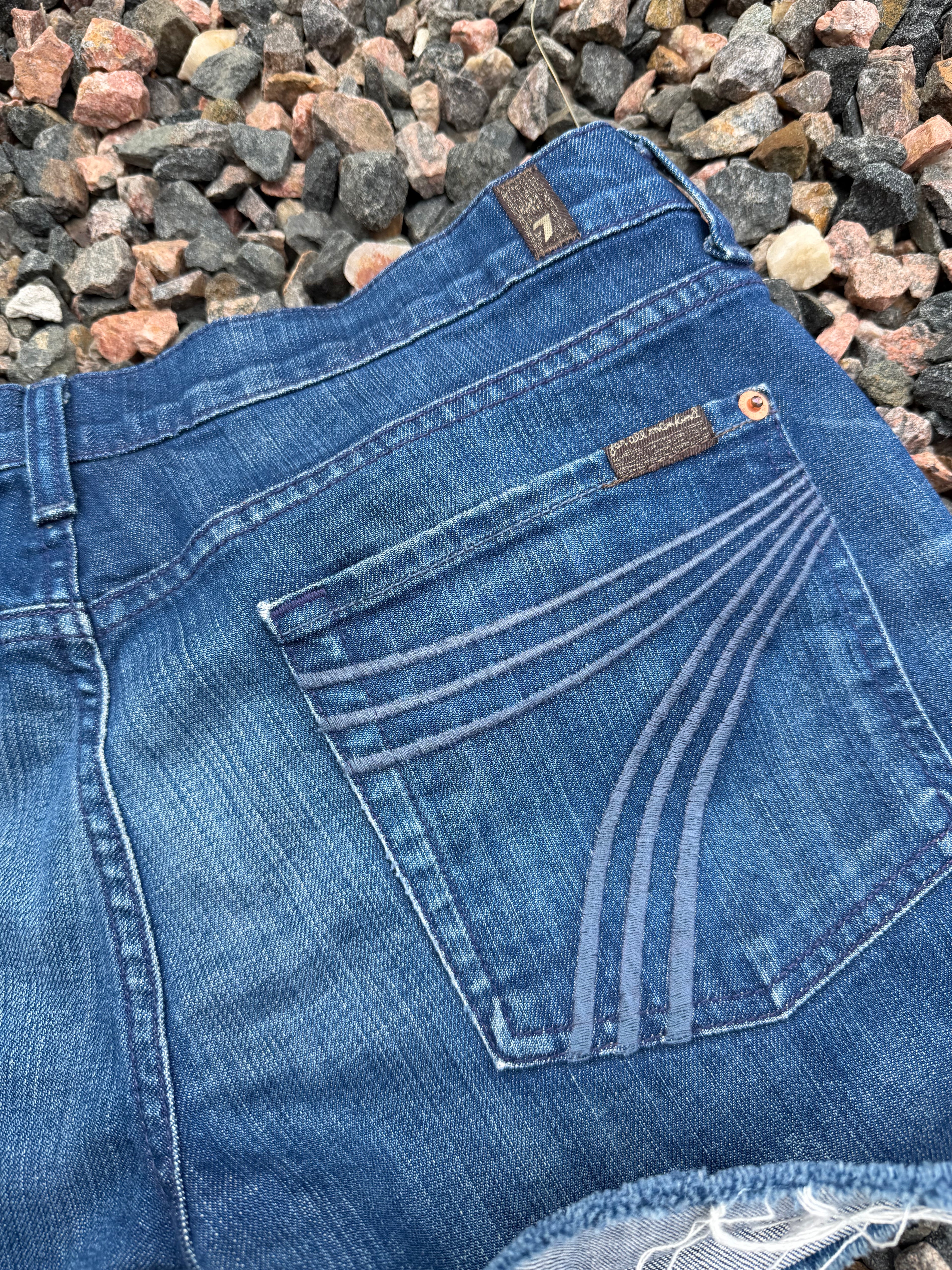 Seven Fam Dojo shorts size 31