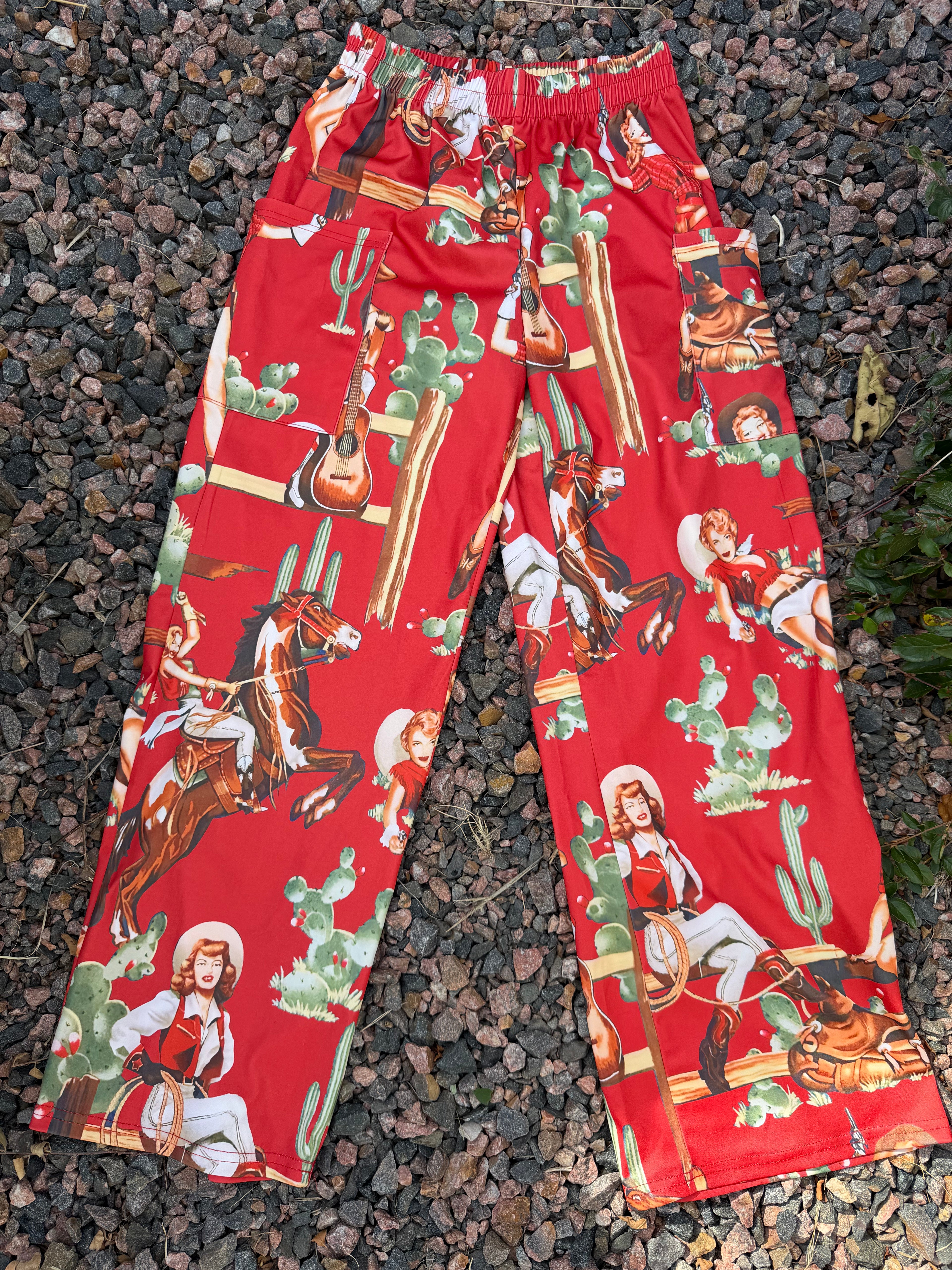 Western wide leg pants 🚨 small