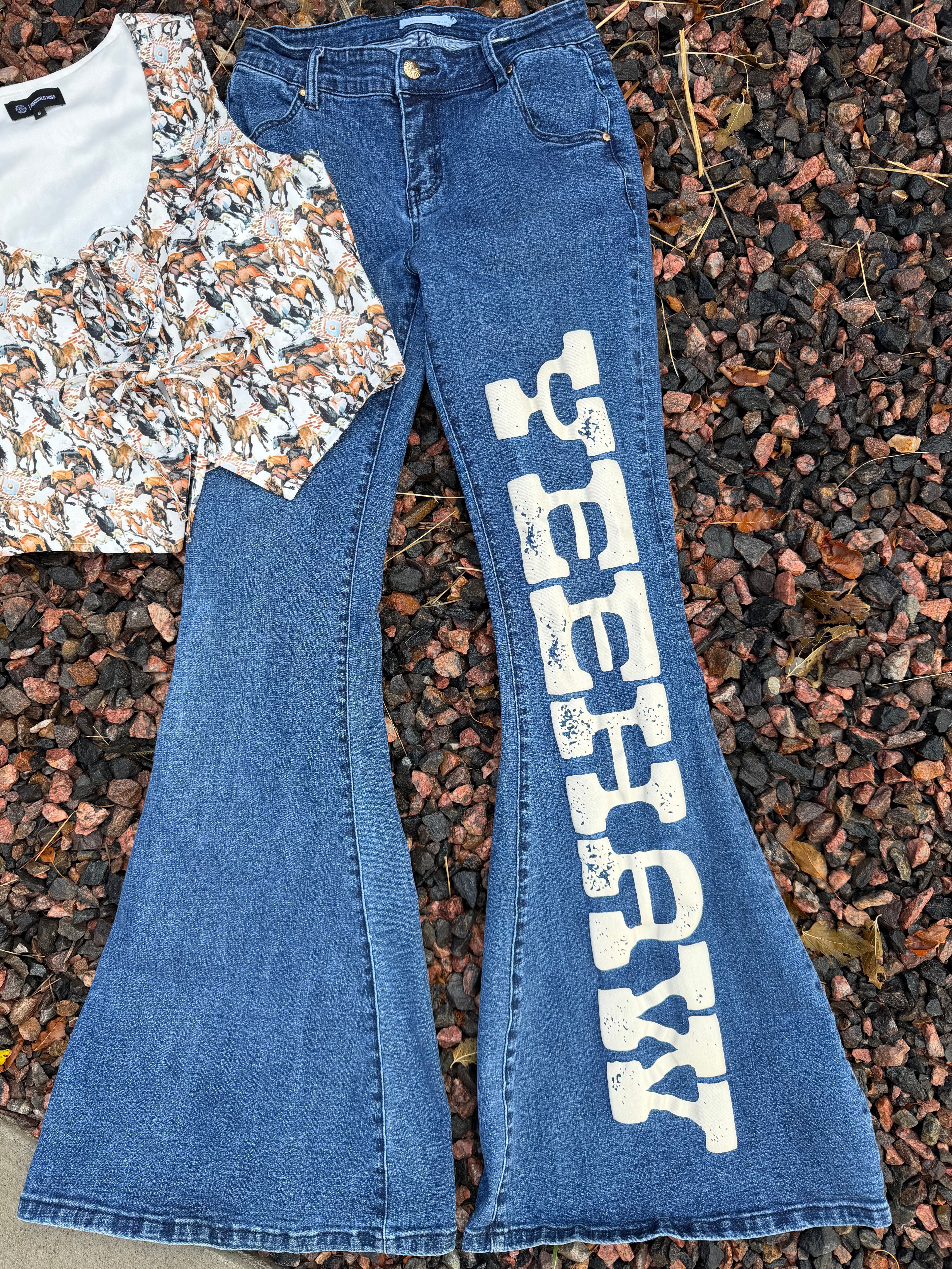 YEEHAW Ranch Dress’n hr flares size 2 (waist fits 27/28)